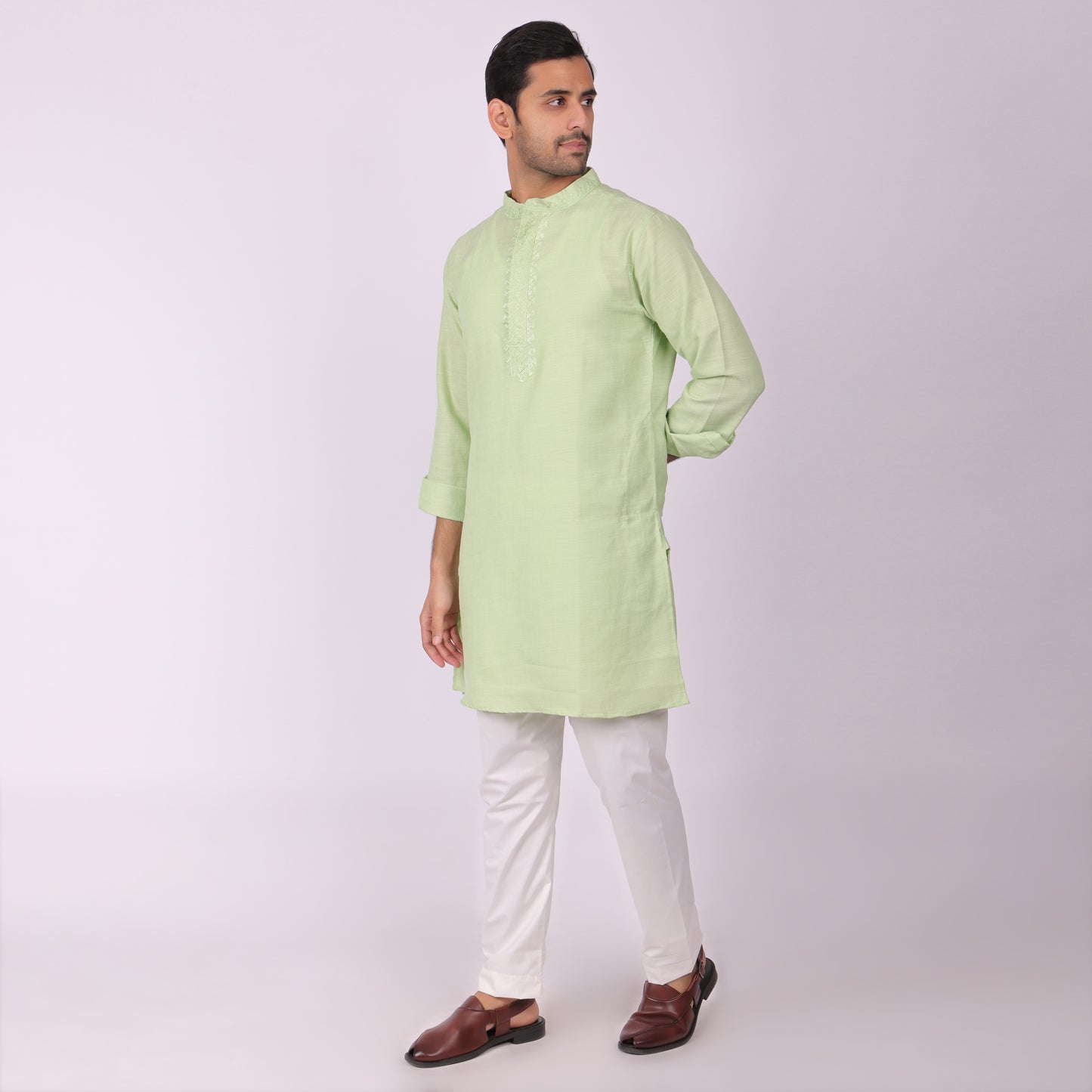 Pista Elegance Light Green Embroidered Festive Kurta